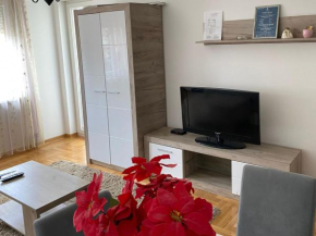 Apartmani CENTAR Vrnjacka Banja & Free Parking